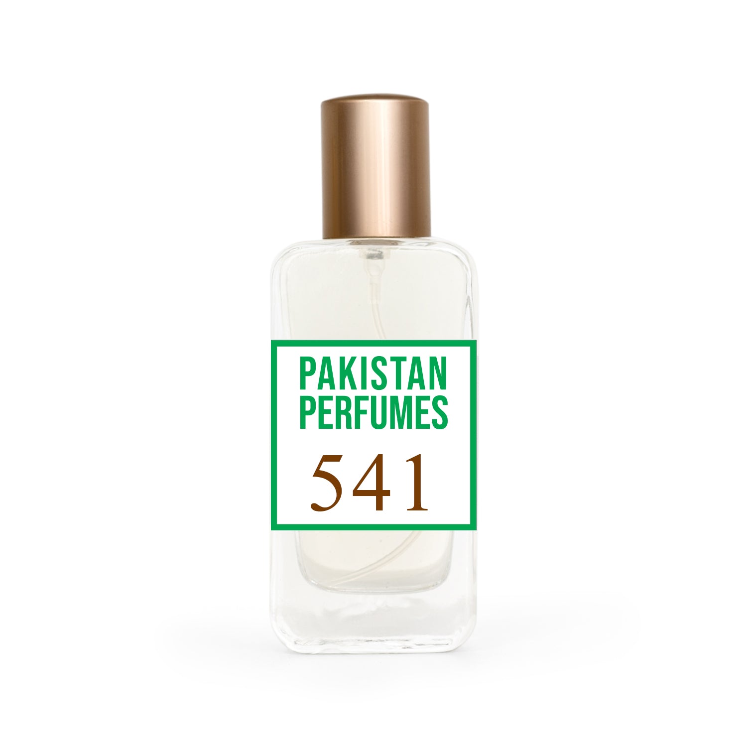 541 (Impression of Encelade)